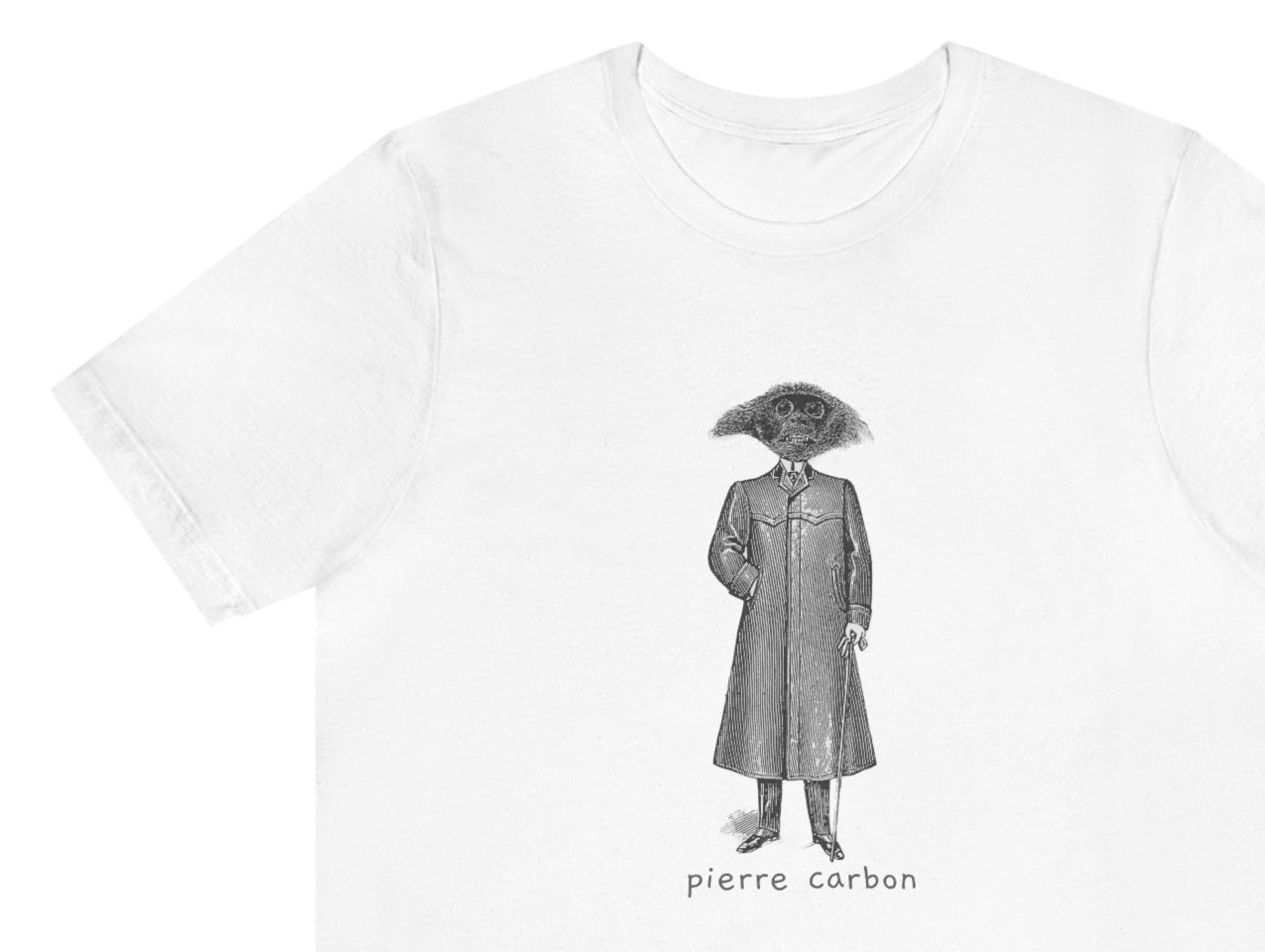 Pierre carbon. Una bestia de la moda…